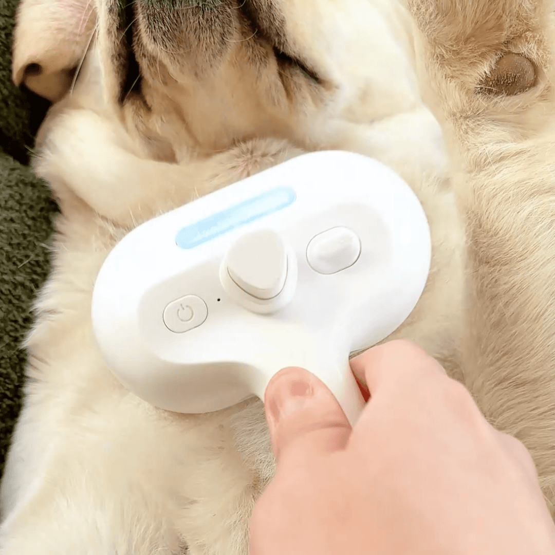 BrushPaw Dog's Steam Brush