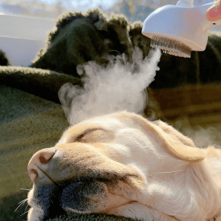 BrushPaw Dog's Steam Brush