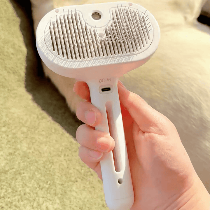 BrushPaw Dog's Steam Brush