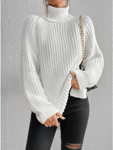 Women's Full-Size Turtle Neck Ribbed Knit Sweater