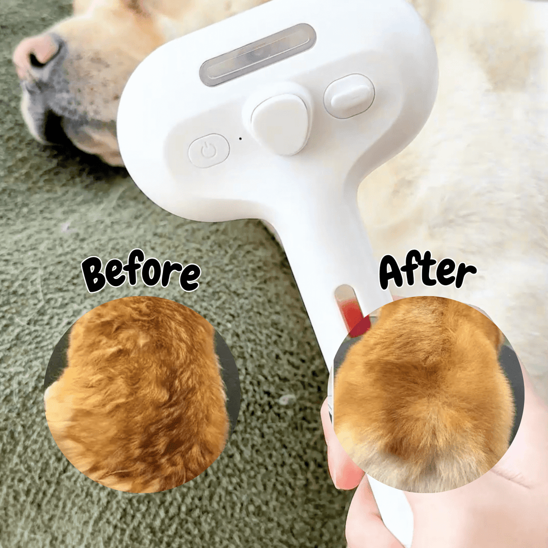 BrushPaw Dog's Steam Brush