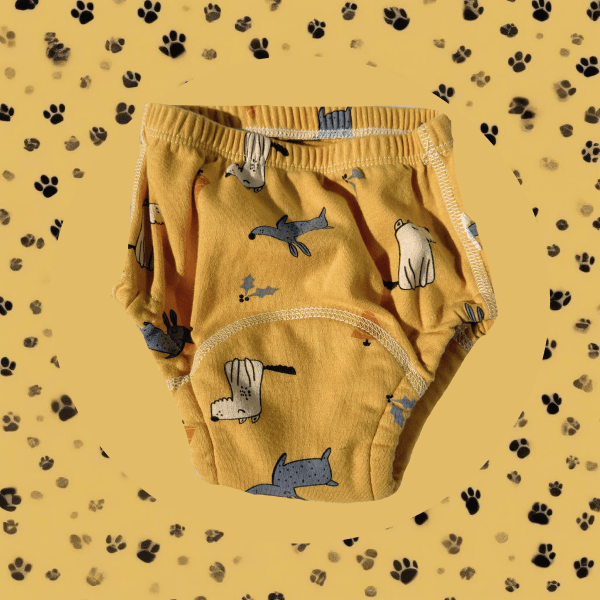 Children's Potty Training Underwear with Fun Prints