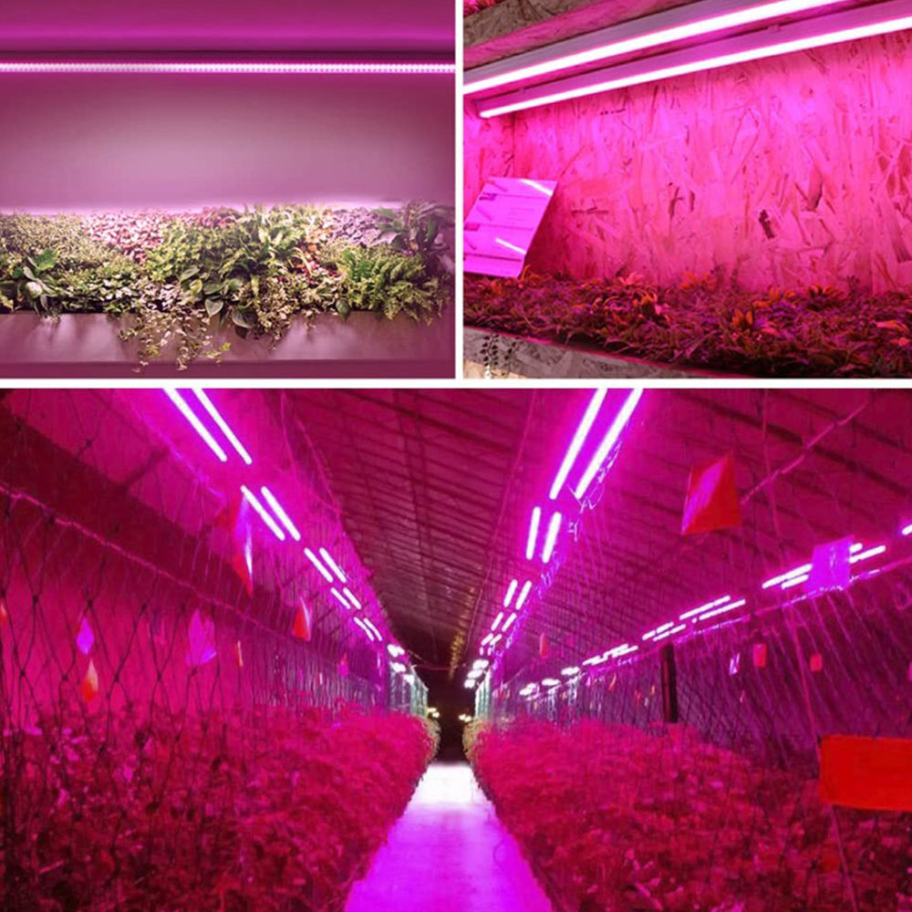 Full spectrum LED grow light with adjustable pull switch, mimics sunlight for plant growth, energy-efficient, promotes photos