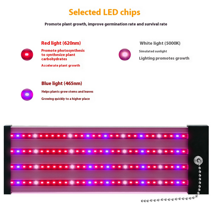 Full spectrum LED grow light with adjustable pull switch, mimics sunlight for plant growth, energy-efficient, promotes photos