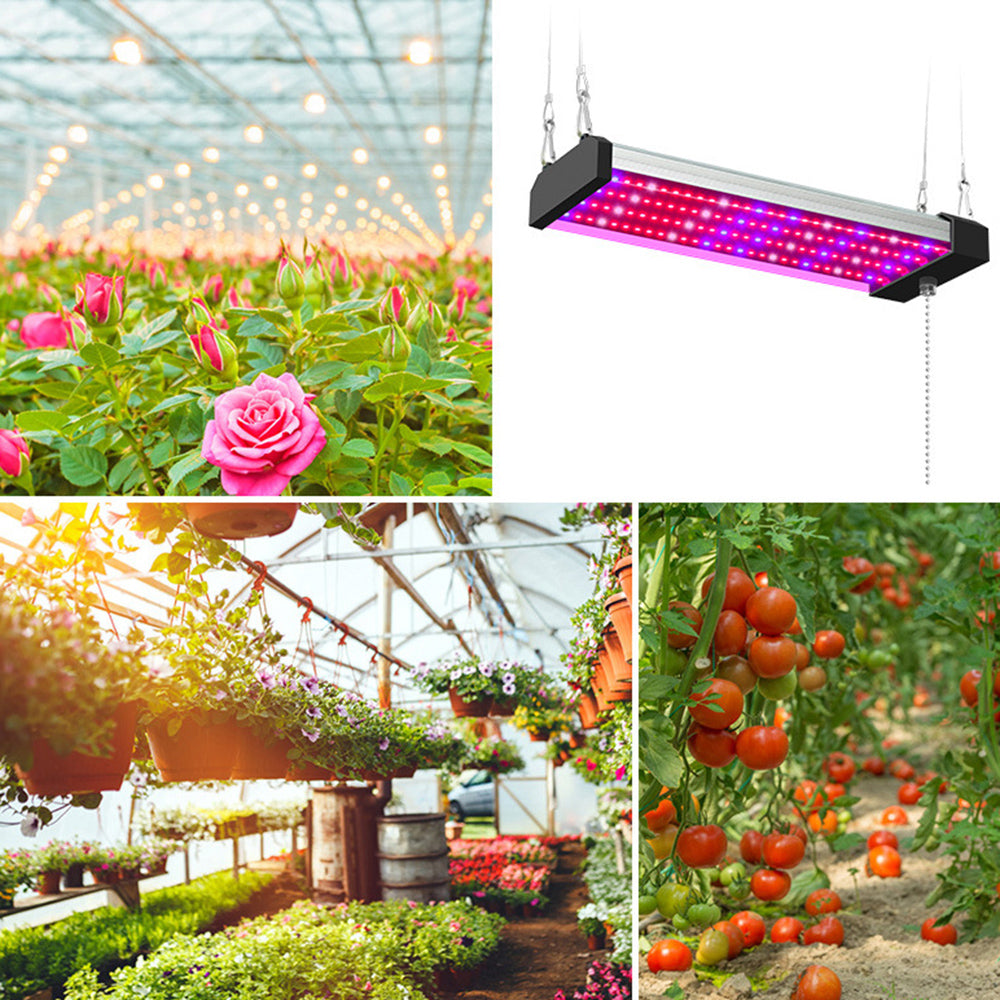 Full spectrum LED grow light with adjustable pull switch, mimics sunlight for plant growth, energy-efficient, promotes photos