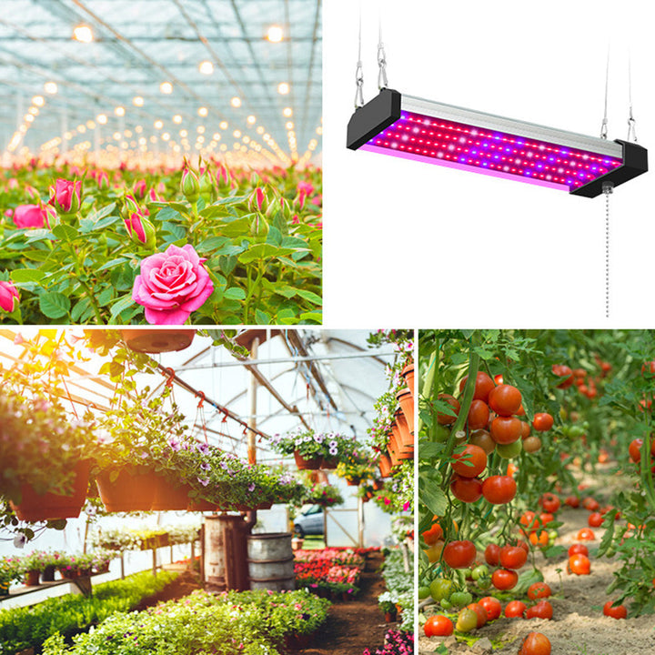 Full spectrum LED grow light with adjustable pull switch, mimics sunlight for plant growth, energy-efficient, promotes photos