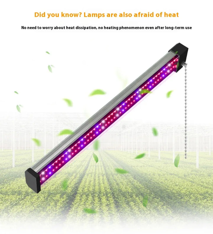 Full spectrum LED grow light with adjustable pull switch, mimics sunlight for plant growth, energy-efficient, promotes photos