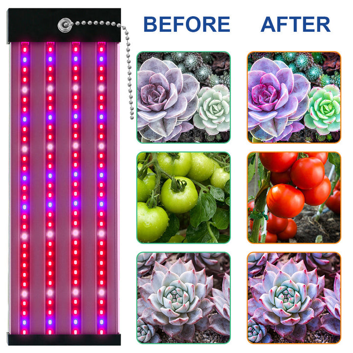 Full spectrum LED grow light with adjustable pull switch, mimics sunlight for plant growth, energy-efficient, promotes photos