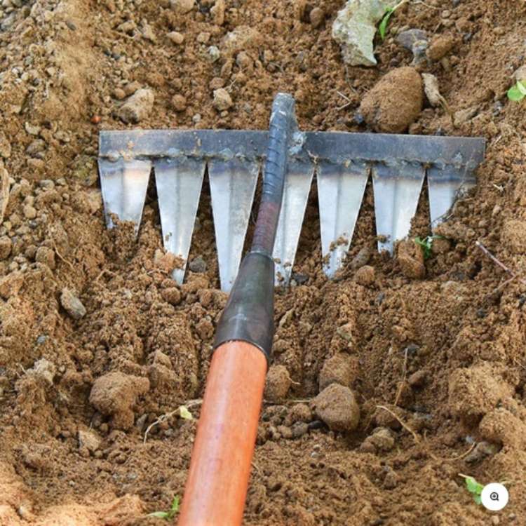 Heavy-duty stainless steel garden rake with deep-penetrating tines, ergonomic handle, and durable, rust-resistant design.