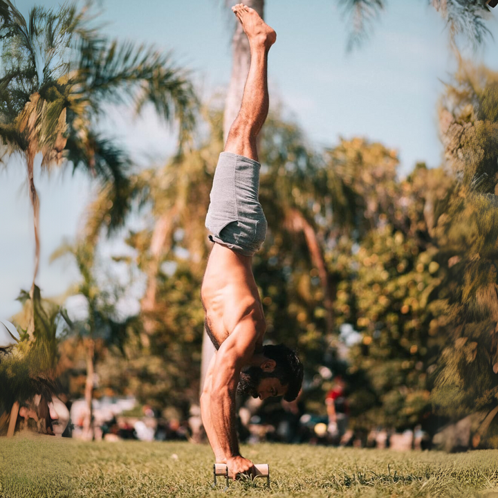 Heavy-Duty wooden push-up handles with ergonomic grip, robust steel frame, and non-slip base for stable home and gym workouts