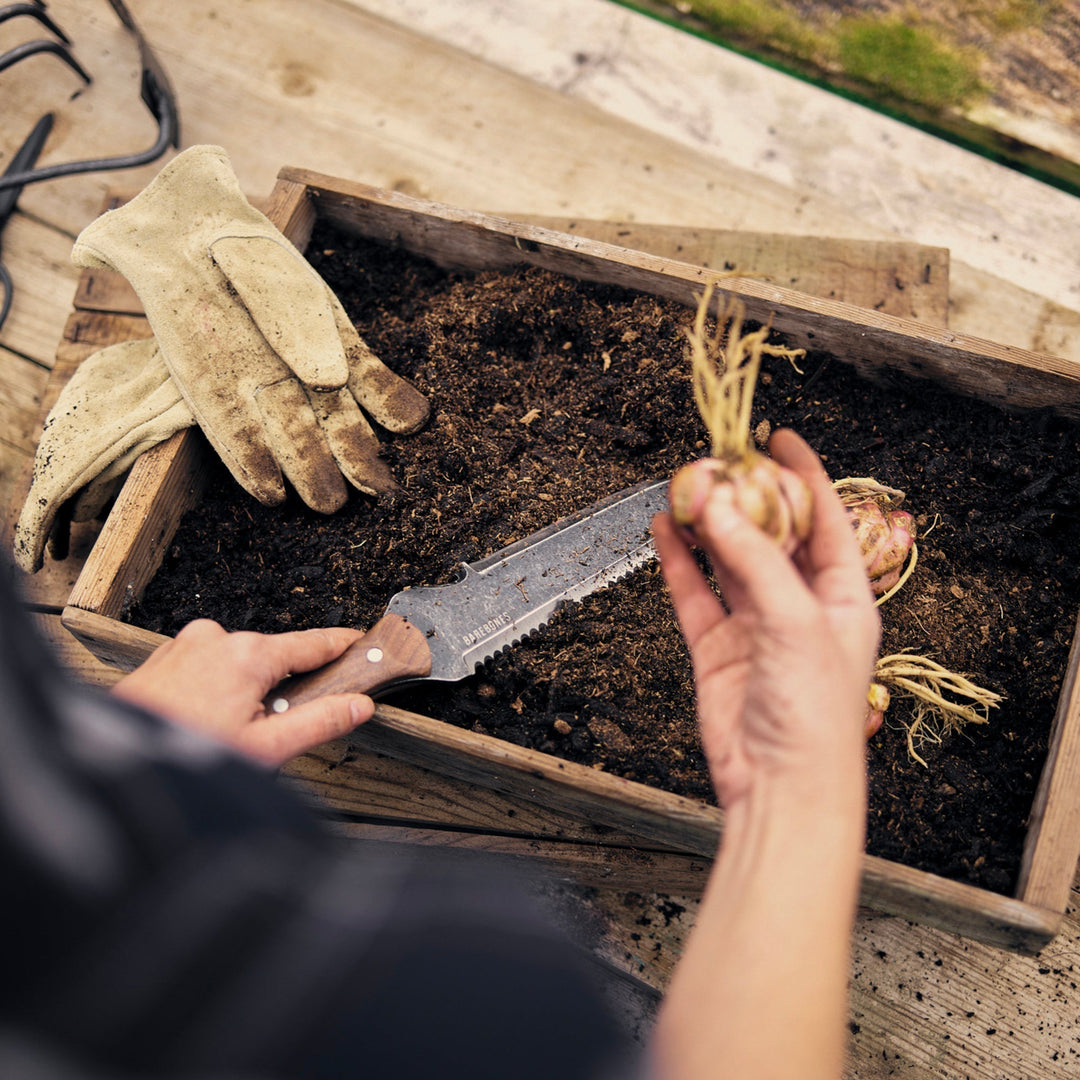 "Hori Hori Classic Gardening Tool with serrated stainless steel blade and ergonomic walnut handle for digging and weeding."