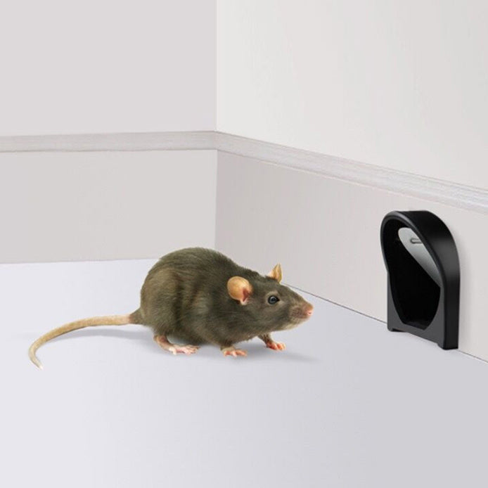 "Humane rat trap cage with self-locking door, sleek black ABS plastic, safe for kids and pets, ideal for indoor rodent contro