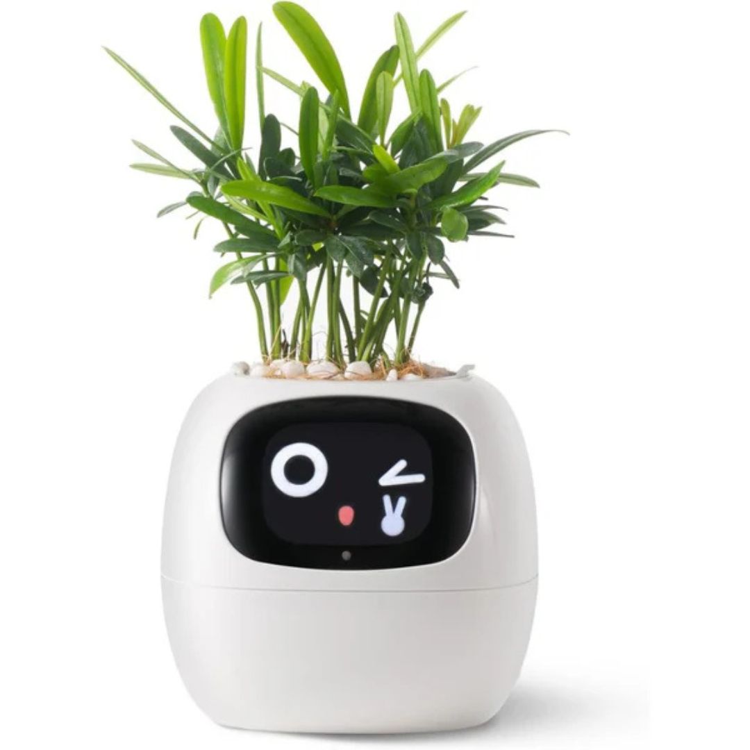 "Modern AI plant pot with digital display, featuring smart home integration and touch controls for enhanced plant care."