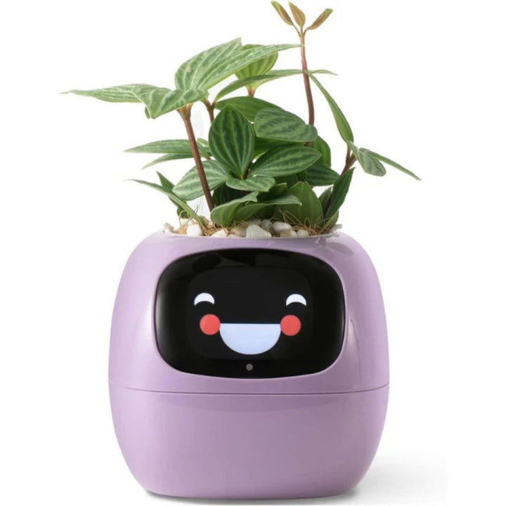 "Modern AI plant pot with digital display, featuring smart home integration and touch controls for enhanced plant care."