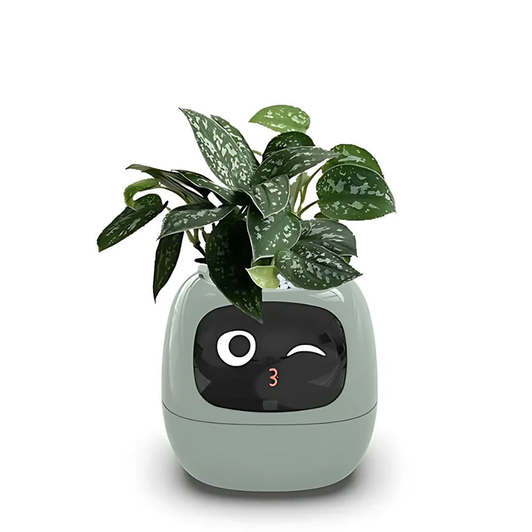 "Modern AI plant pot with digital display, featuring smart home integration and touch controls for enhanced plant care."