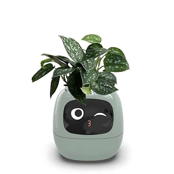 "Modern AI plant pot with digital display, featuring smart home integration and touch controls for enhanced plant care."
