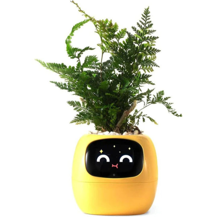 "Modern AI plant pot with digital display, featuring smart home integration and touch controls for enhanced plant care."