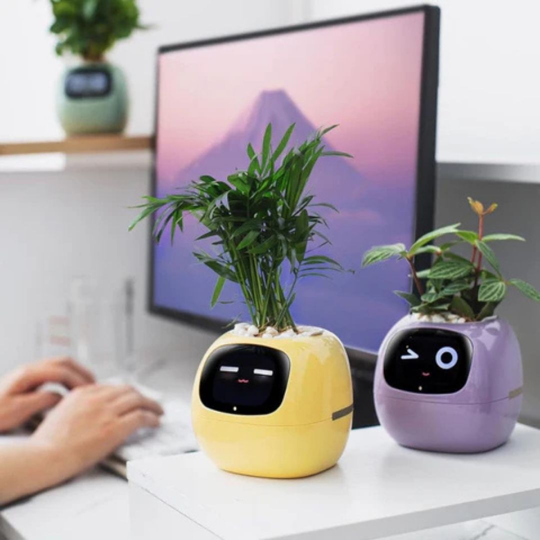 "Modern AI plant pot with digital display, featuring smart home integration and touch controls for enhanced plant care."