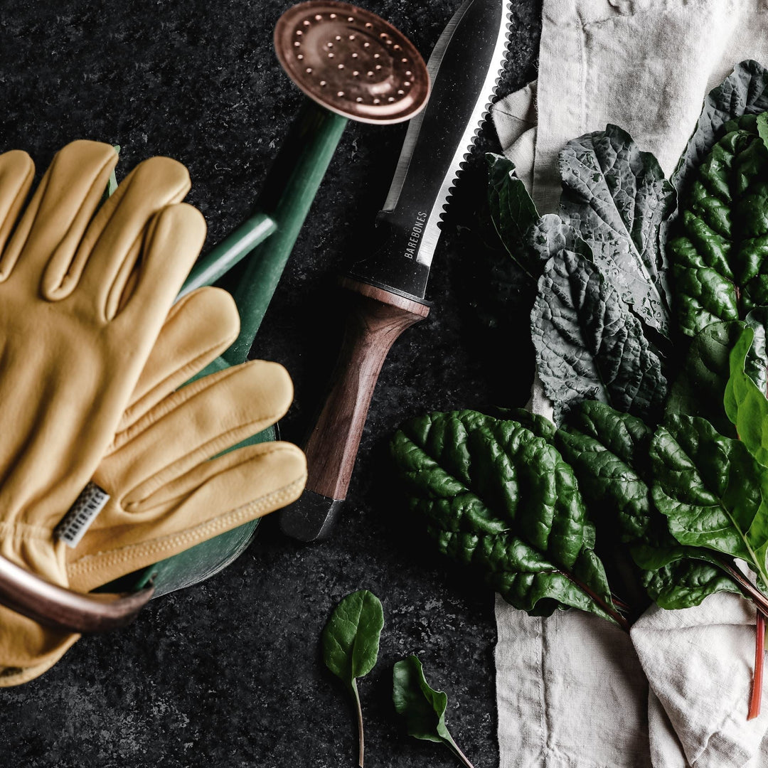 "Multi-Purpose Hori Hori Garden Knife with stainless steel blade and walnut handle for camping, foraging, and gardening."
