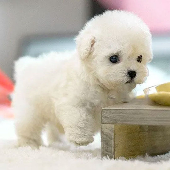 Realistic interactive robot puppy with lifelike features, expressive eyes, and soft texture for home companionship.