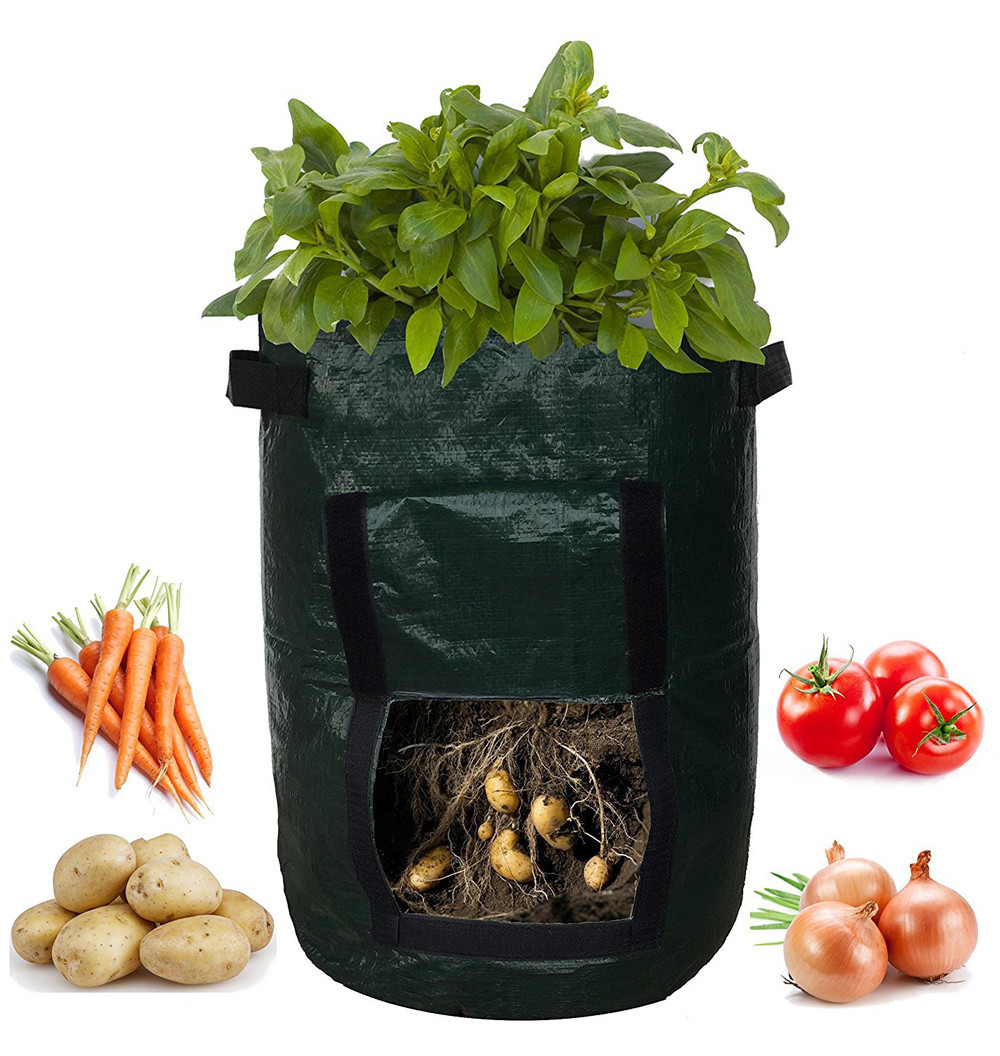 "Reusable potato planting grow bag with window, black or green, durable fabric, ideal for small gardens, easy potato harvesti