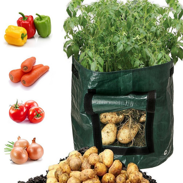 "Reusable potato planting grow bag with window, black or green, durable fabric, ideal for small gardens, easy potato harvesti
