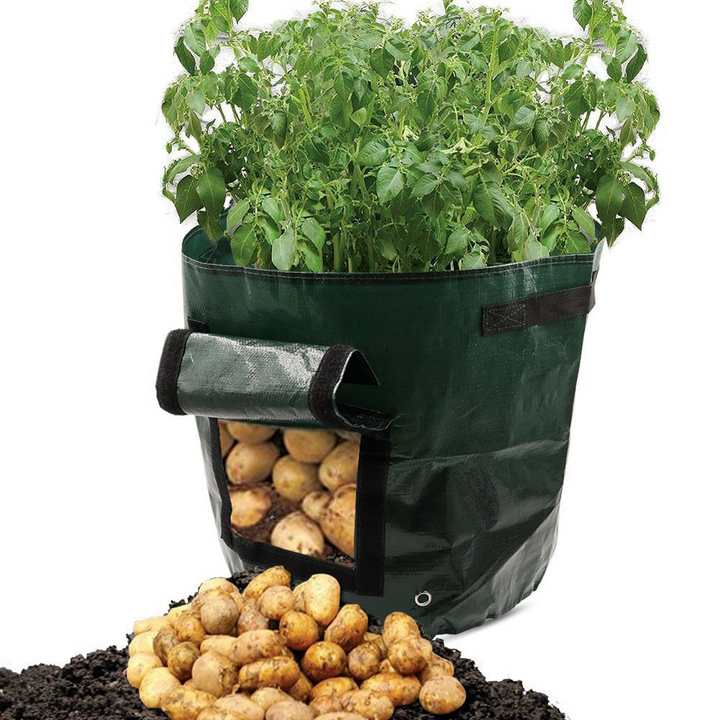"Reusable potato planting grow bag with window, black or green, durable fabric, ideal for small gardens, easy potato harvesti
