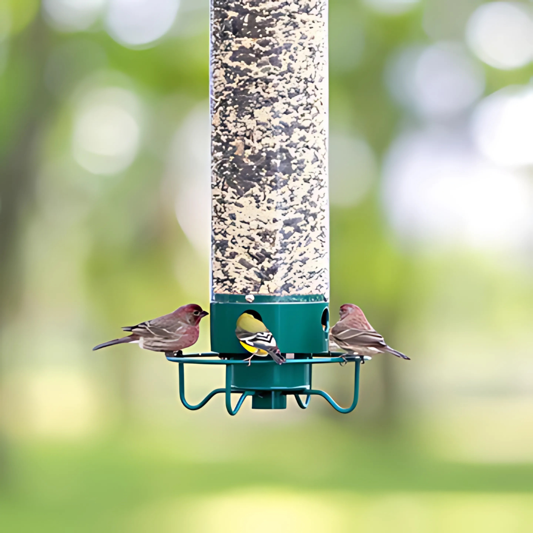 Squirrel-proof metal bird feeder with spinning perch, hanging outdoors, features four feeding ports and weather-resistant des