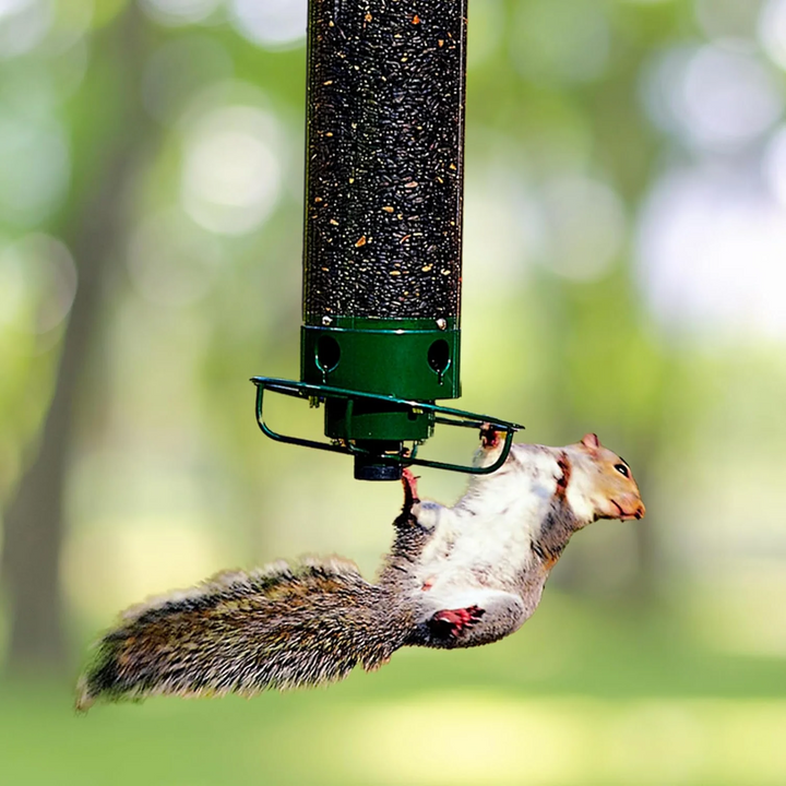 Squirrel-proof metal bird feeder with spinning perch, hanging outdoors, features four feeding ports and weather-resistant des