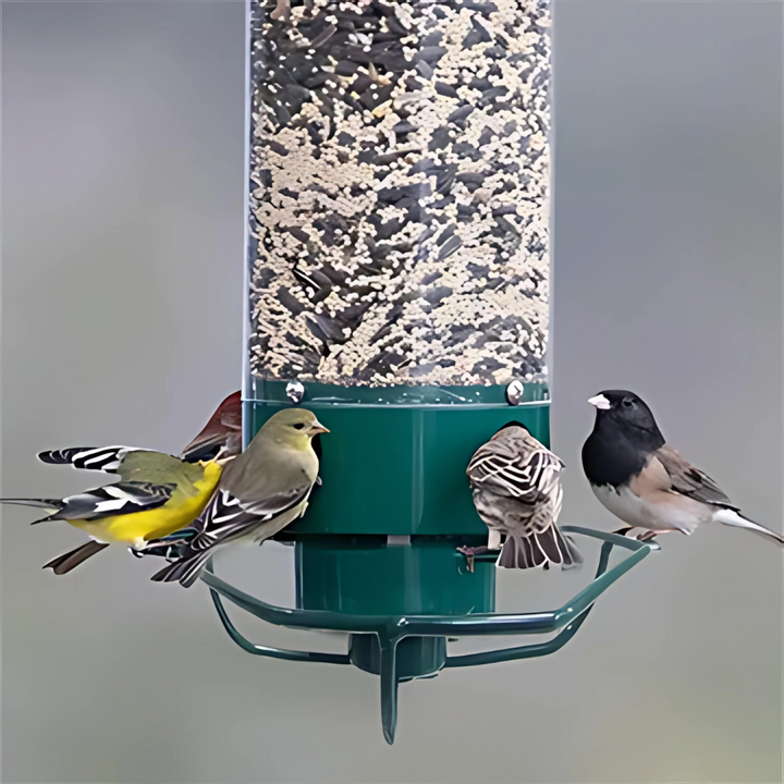 Squirrel-proof metal bird feeder with spinning perch, hanging outdoors, features four feeding ports and weather-resistant des