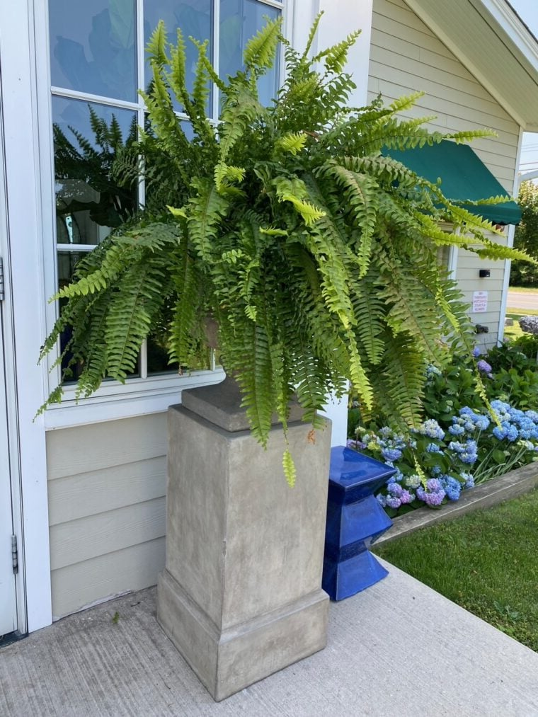 "UV-resistant faux Boston fern, lush greenery for outdoor décor, detailed realistic leaves, ideal for gardens and patios."