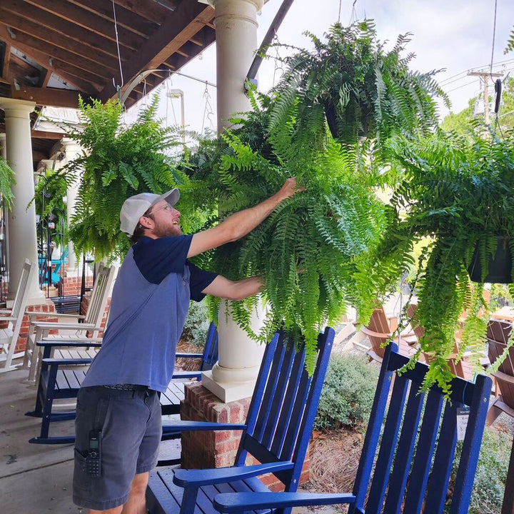 "UV-resistant faux Boston fern, lush greenery for outdoor décor, detailed realistic leaves, ideal for gardens and patios."