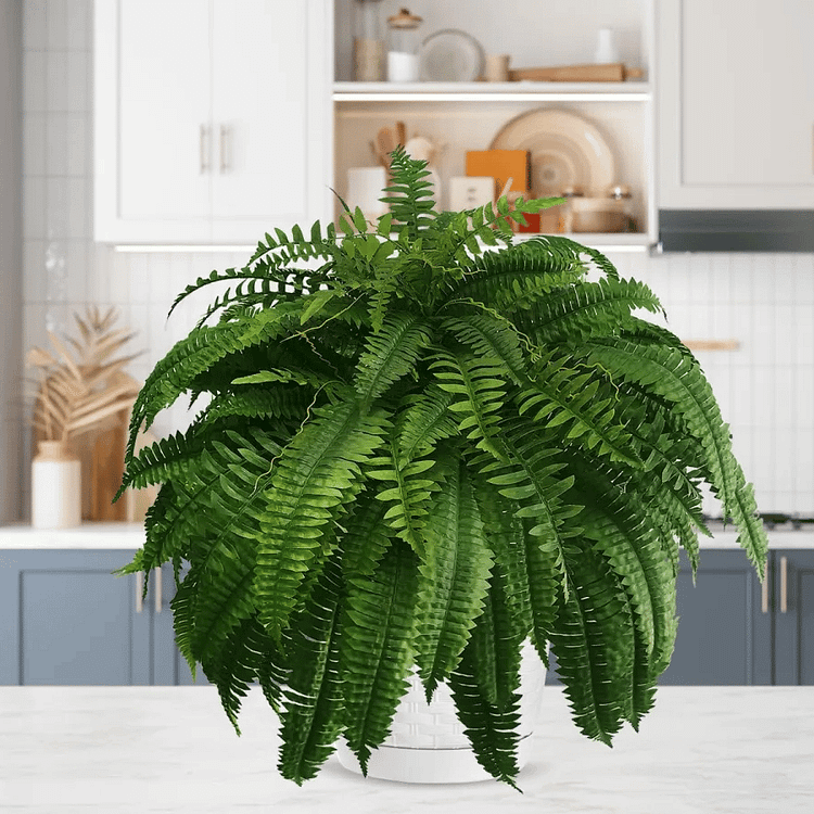 "UV-resistant faux Boston fern, lush greenery for outdoor décor, detailed realistic leaves, ideal for gardens and patios."