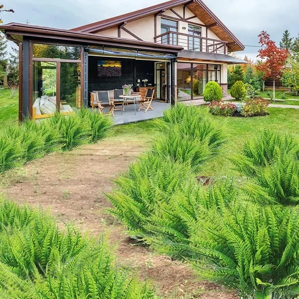 "UV-resistant faux Boston fern, lush greenery for outdoor décor, detailed realistic leaves, ideal for gardens and patios."